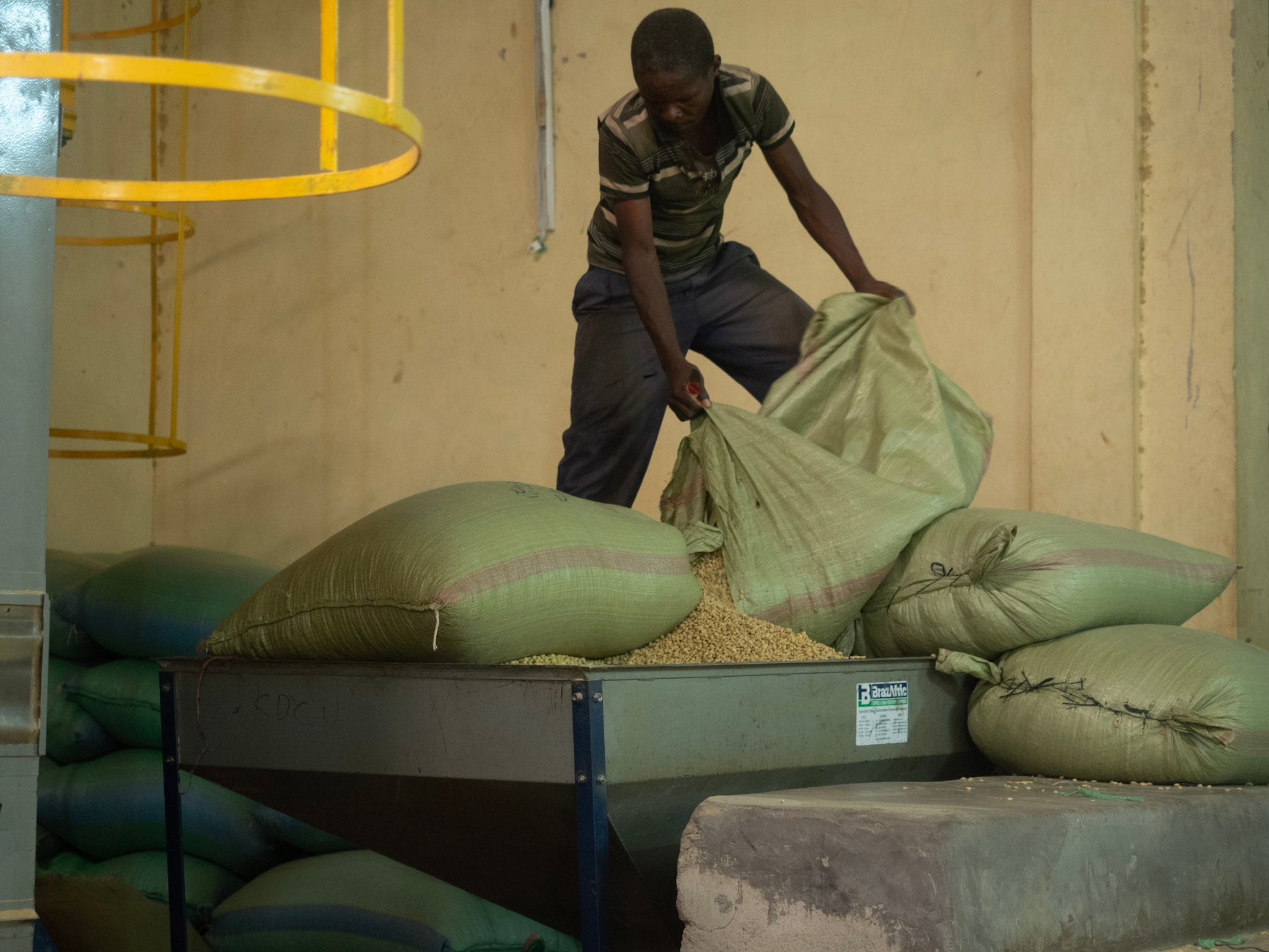 Kenya - Lot20